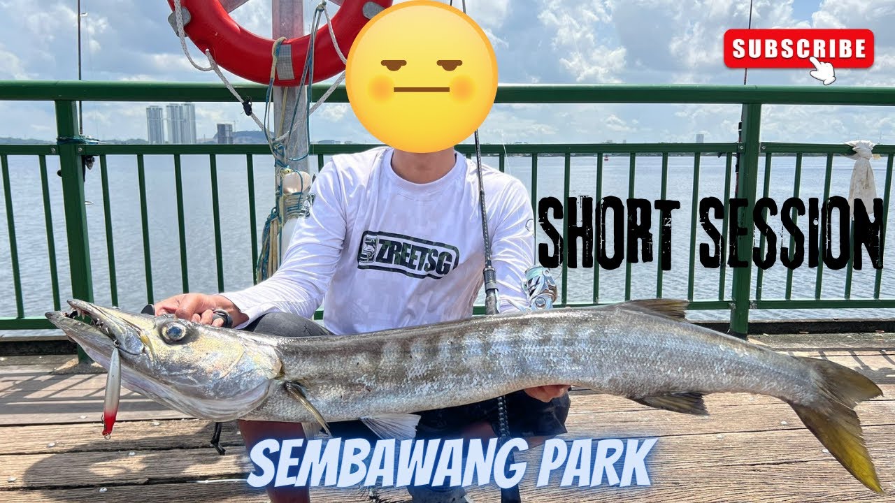 Episode 15: Short Barracuda Hunt and GoPro Hero 10 test! | Sembawang Park | Singapore Fishing