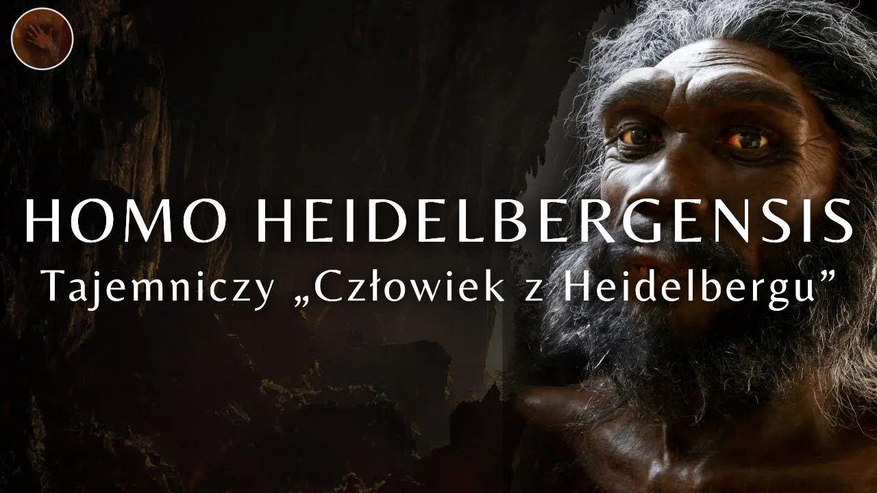 Homo heidelbergensis &ndash; tajemniczy człowiek z Heidelbergu | Dokument o prehistorycznych ludziach