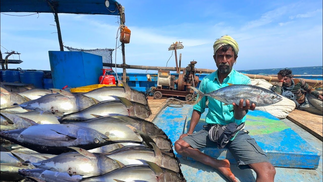 OMG 😱 Frist Day Heavy Wind 💢❗We Caught Big Size Tuna Fishes in Deep Sea Fishing