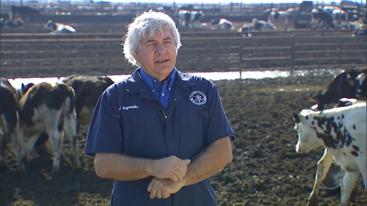 The National Dairy FARM Program