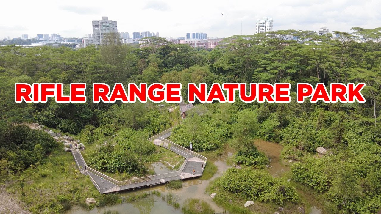 Rifle Range Nature Park || Walking Singapore
