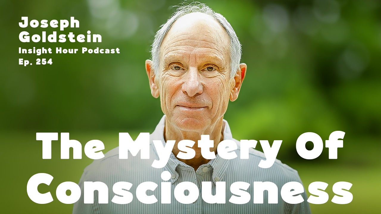 Joseph Goldstein On The Mystery of Consciousness | Insight Hour Ep. 254