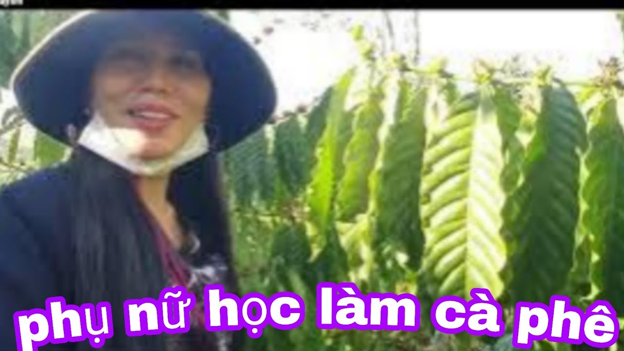 Giao lưu kinh nghiệm với bạn gái xinh đang học làm cây cà phê
