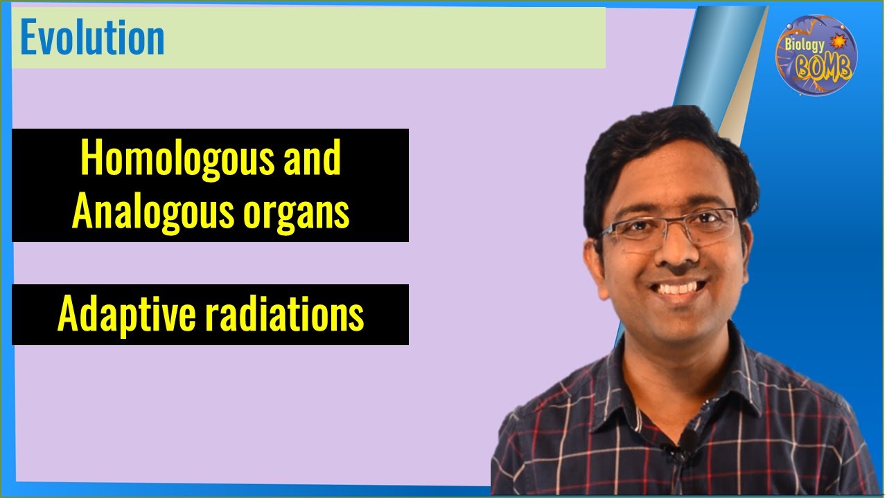 Homologous and analogous organs, Adaptive radiations I NEET I Dr Kunal Tatte (KT)