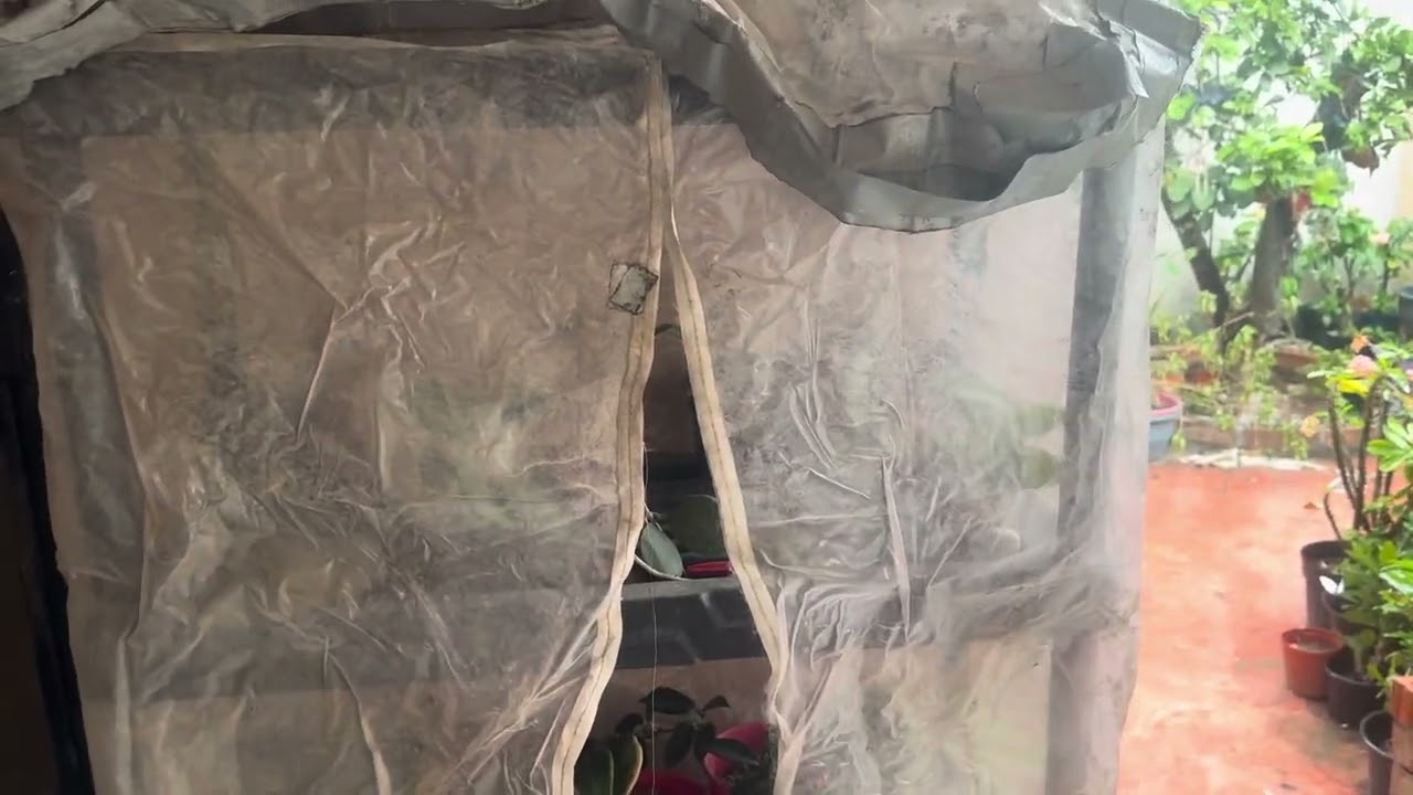 Cómo hacer un invernadero, protegiendo las hoyas del frío
