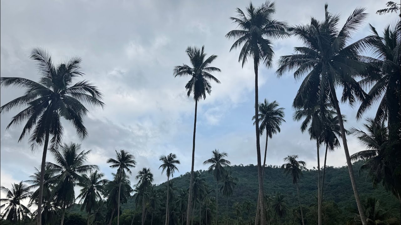 Thailand - Koh Samui Vlog 24🇹🇭