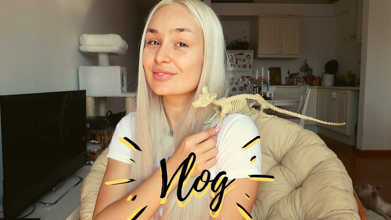 VLOG  | Cautari costum de petrecere | Noutati Shop my Closet | Subi si cate-n luna si in stele