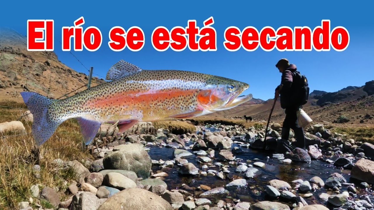 En el río seco / ¿CÓMO PESCAR TRUCHAS 🐟?