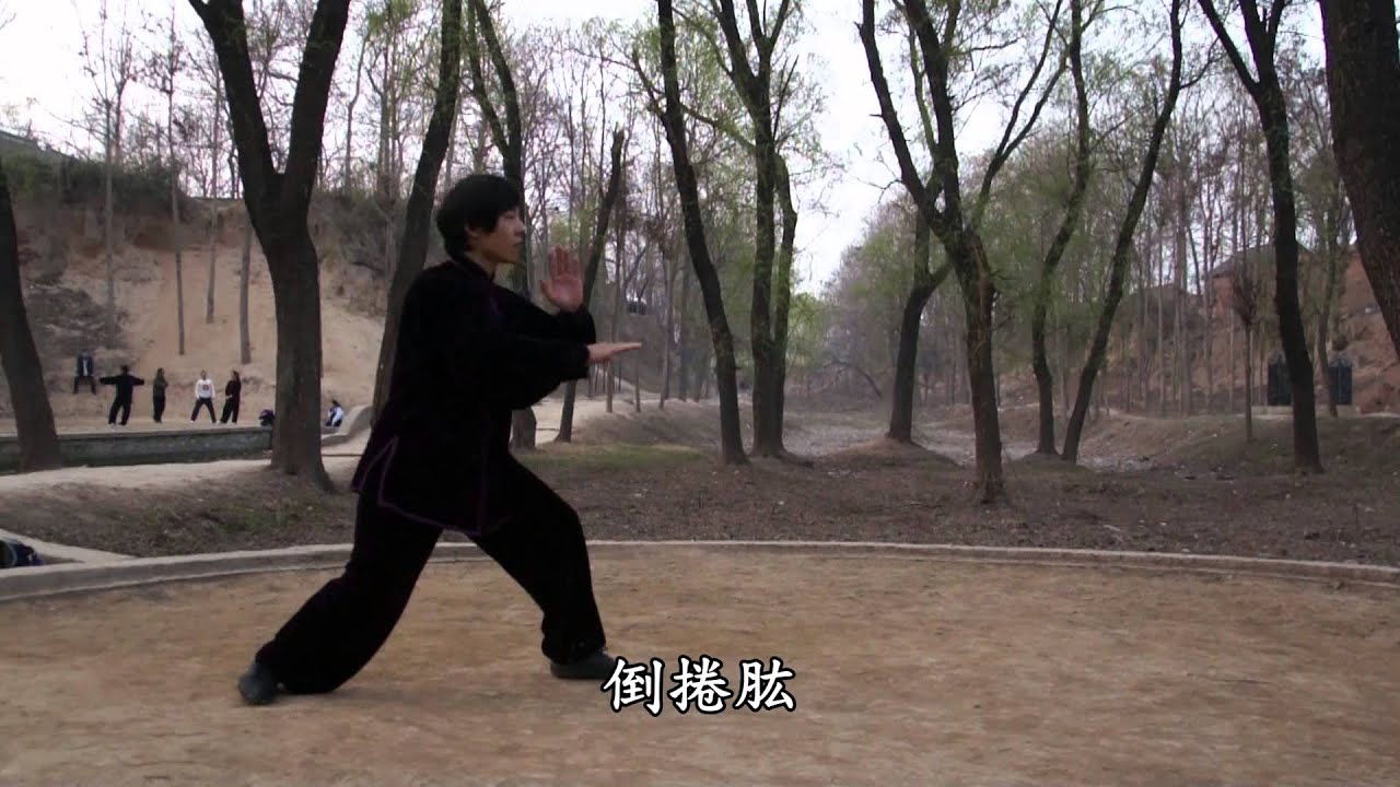 Chen Style Tai Chi Quan 19 Form ( 陳氏太極拳19勢 )  ─  Lu Chien-Ming(呂建銘)