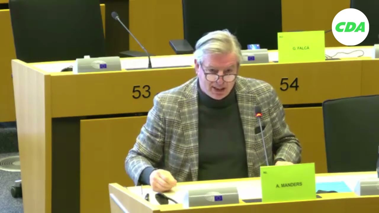DEMOGRAFISCHE VERANDERINGEN - TOINE MANDERS