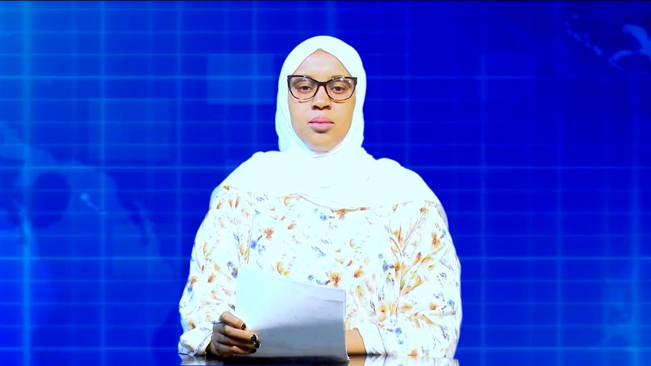 Warka Universal TV 30 11 2024