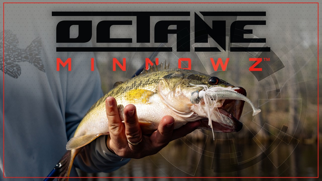Z-Man Octane MinnowZ: новый стандарт ребристых свимбейтов