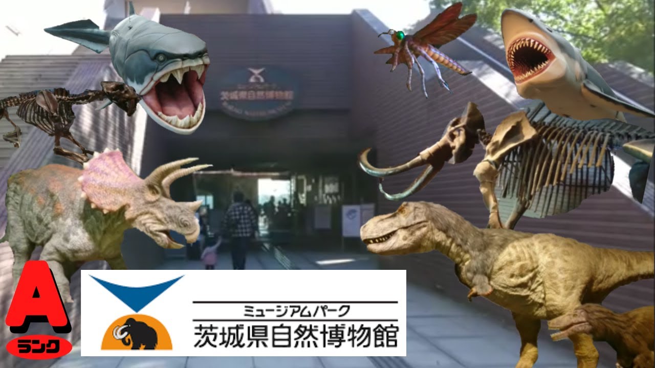 【古生物スポット】茨城県自然博物館(Ibaraki Nature Museum)