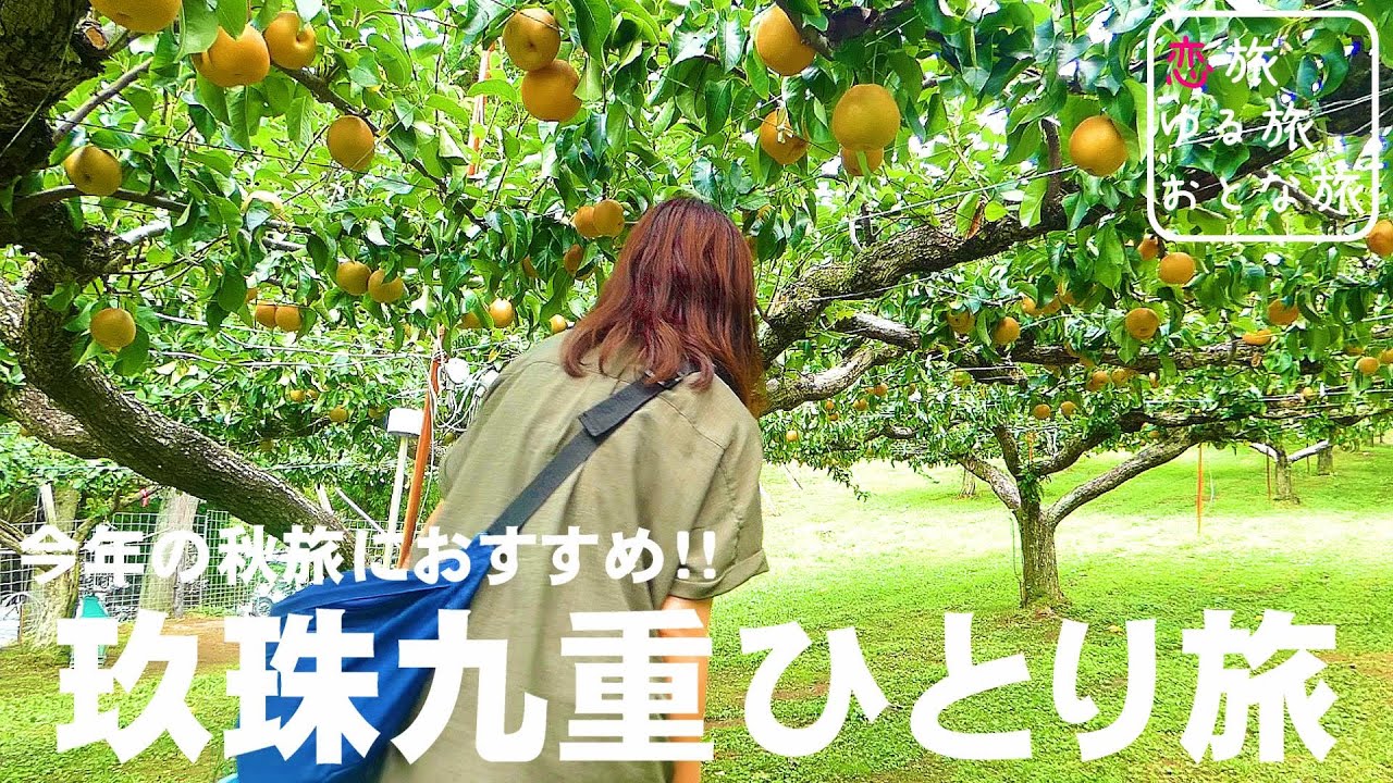 【女ひとり旅】今年の秋旅はここで決まり！大分県玖珠郡九重町の超穴場おすすめ紅葉旅プランをご紹介！！知る人ぞ知るコスパ最高グルメと秘境絶景を大満喫｜龍門の滝｜佐々木農園｜スーパー本松屋｜大分観光スポット