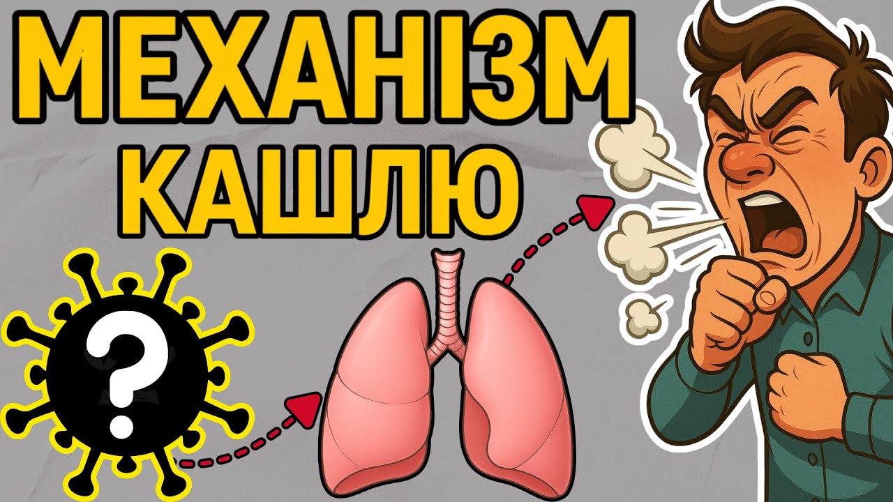 Медичне пояснення причин кашлю! Звідки береться кашель? Чому ми кашляємо ?