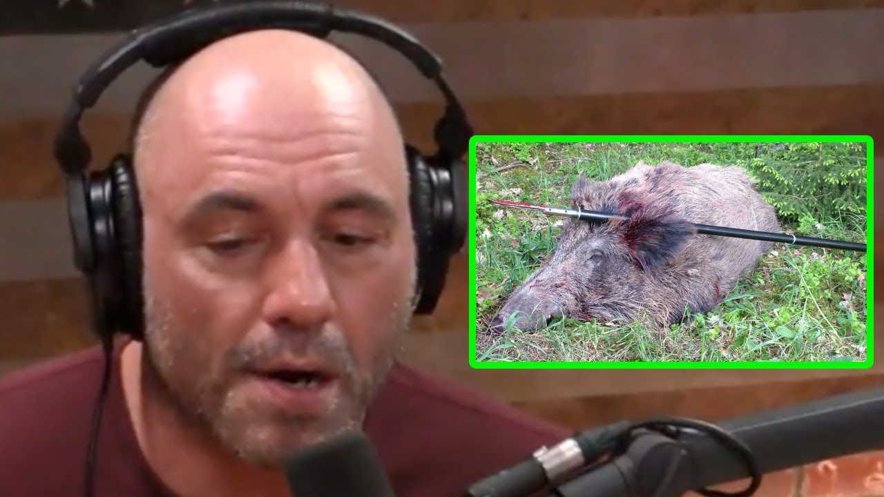Joe Rogan: Is Spear Hunting Ethical?