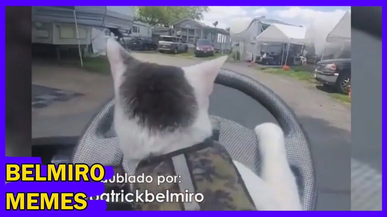 Belmiro Memes: Melhores dublagens engra&ccedil;adas da semana 59