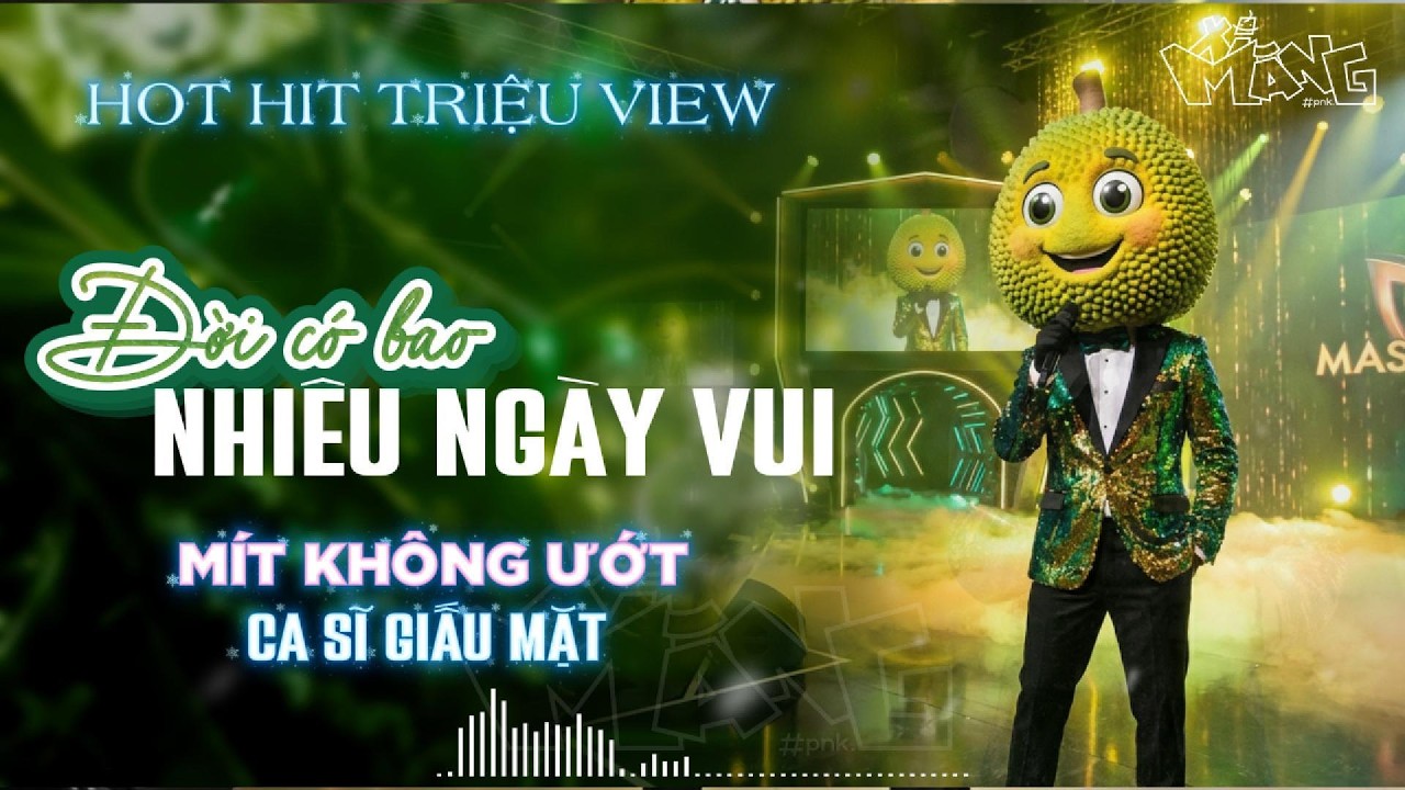 ĐỜI CÓ BAO NHIÊU NGÀY VUI | Ca sĩ giấu mặt COVER | Bản Hot TikTok Hit Triệu View