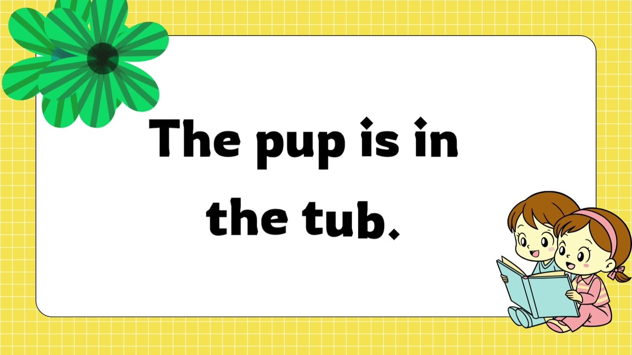 English -  Phonics - CVC words reading practice-simple sentences with CVC words-vowel 'u'  for kids.
