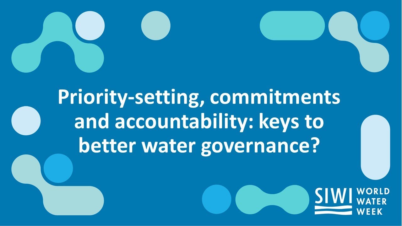 Priority-setting, commitments and accountability: keys to better water governance?
