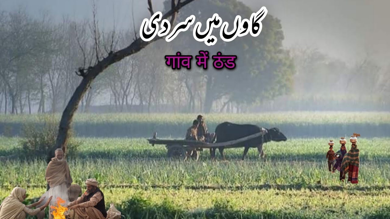 Beautiful Early Morning in Punjab Village||Daily Routine Work||Village Life in Pakistan