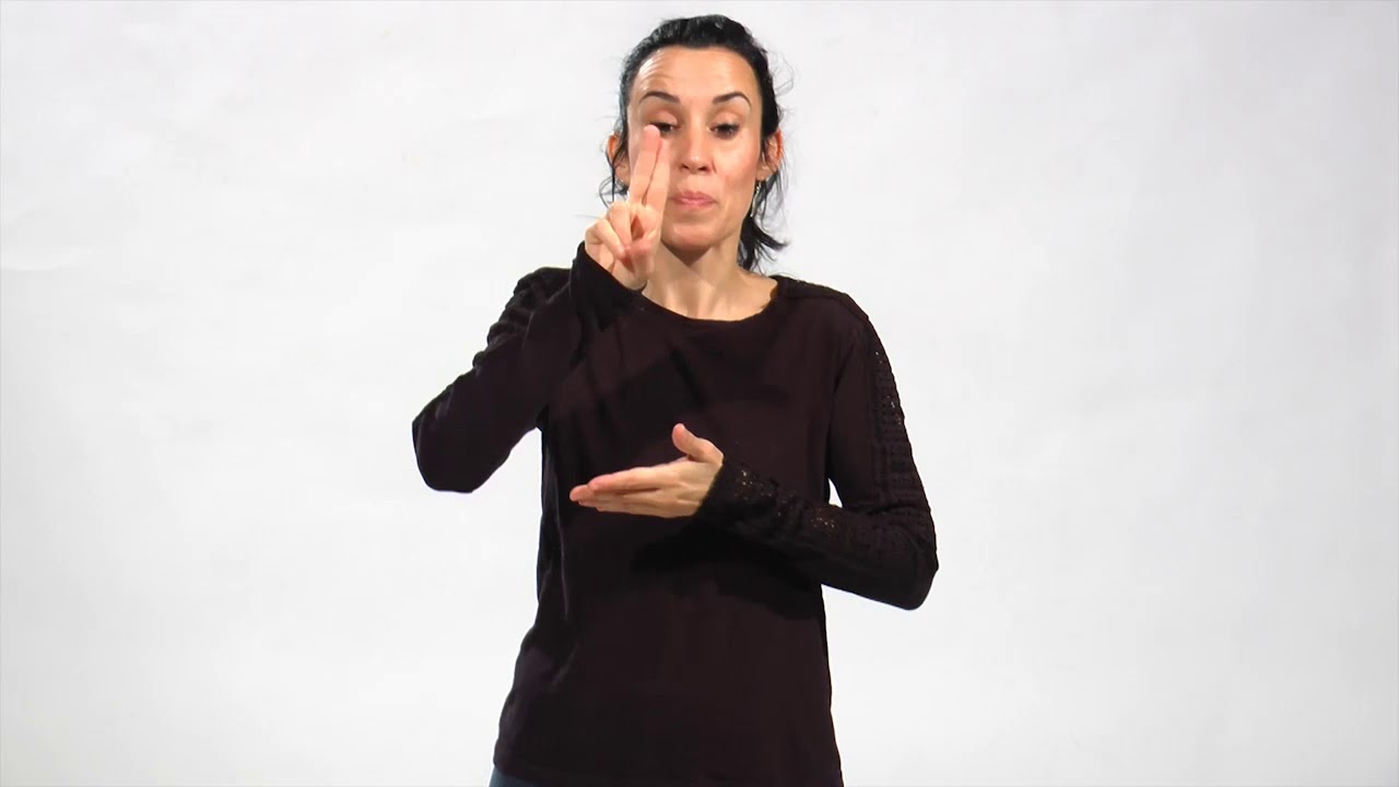 Mociones Pleno (lengua de signos y audio)