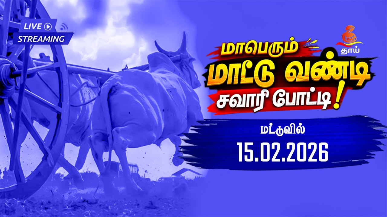 🔴 LIVE மாபெரும் மாட்டு வண்டி சவாரி போட்டி | மட்டுவில் | நேரலை - 15.02.2026