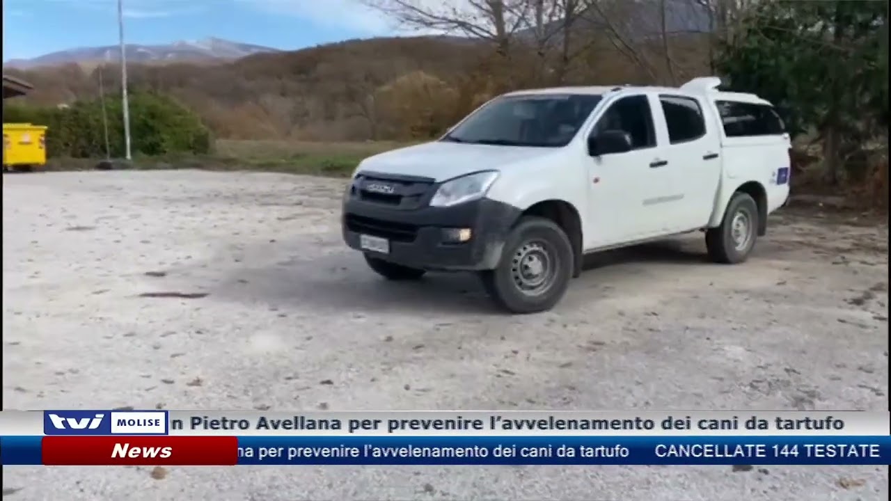 Cani da tartufo avvelenati, da San Pietro Avellana l'appello ai Forestali: 