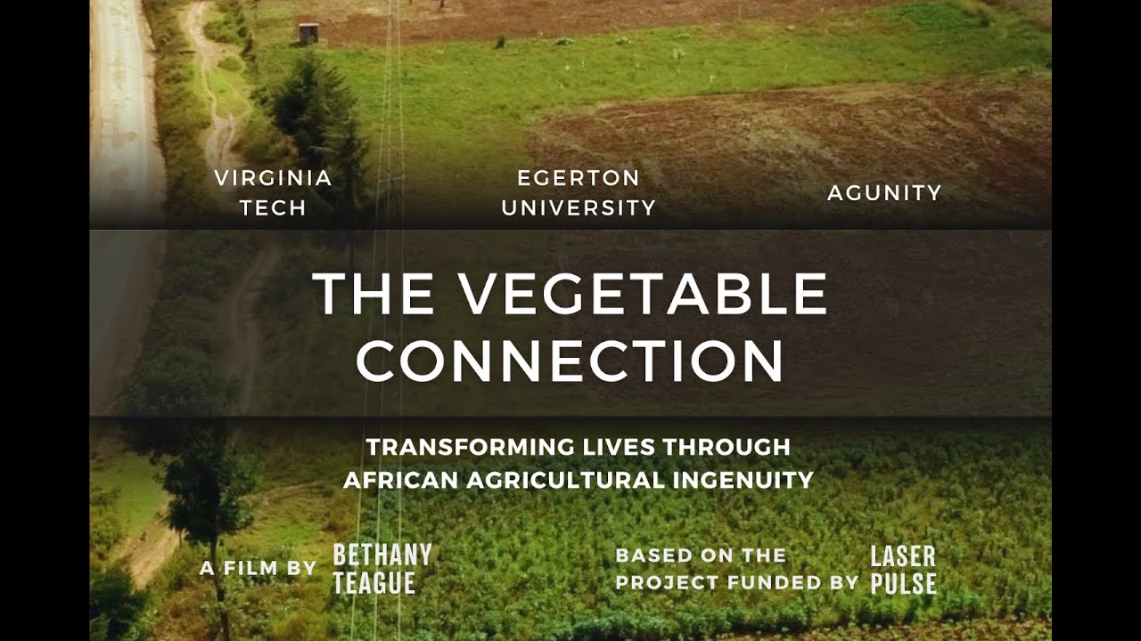 The Vegetable Connection