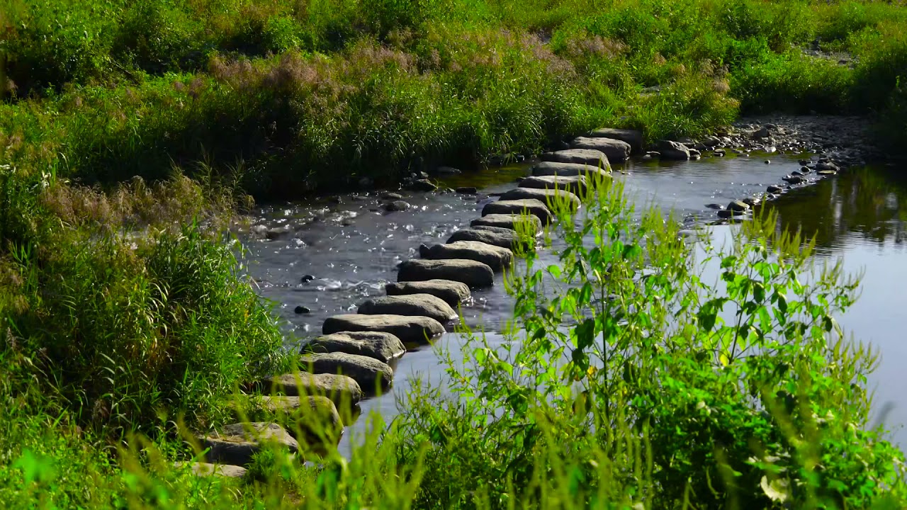 RIVER STEPS 4K UHDR VIDEO