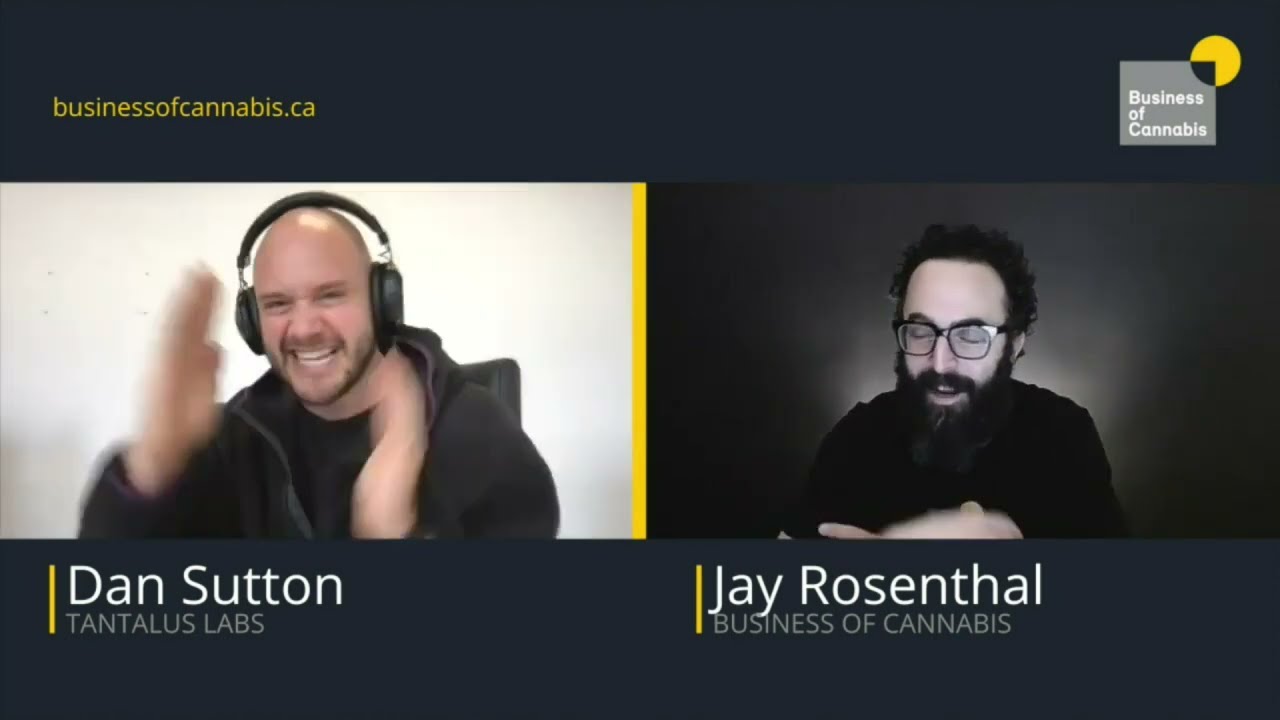 How to lead a cannabis company with maximum transparency