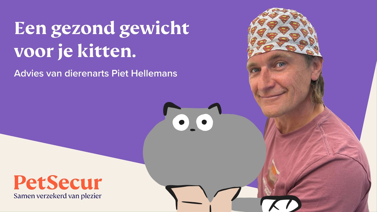 Piet Hellemans - Alles wat je moet weten over een gezond gewicht bij je kitten