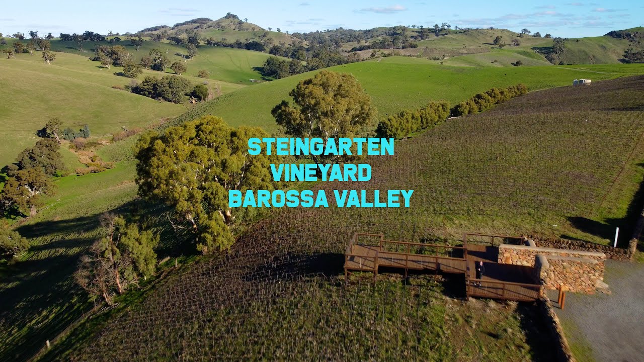 Steingarten Vineyard (4K)
