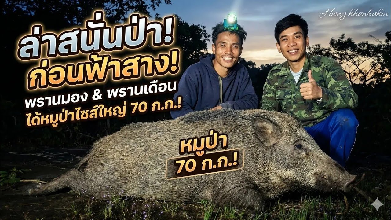 พรานมองล้มหมาก3ศอกอีกแล้วน้ำหนัก80กิโล 30.ต ค.2025