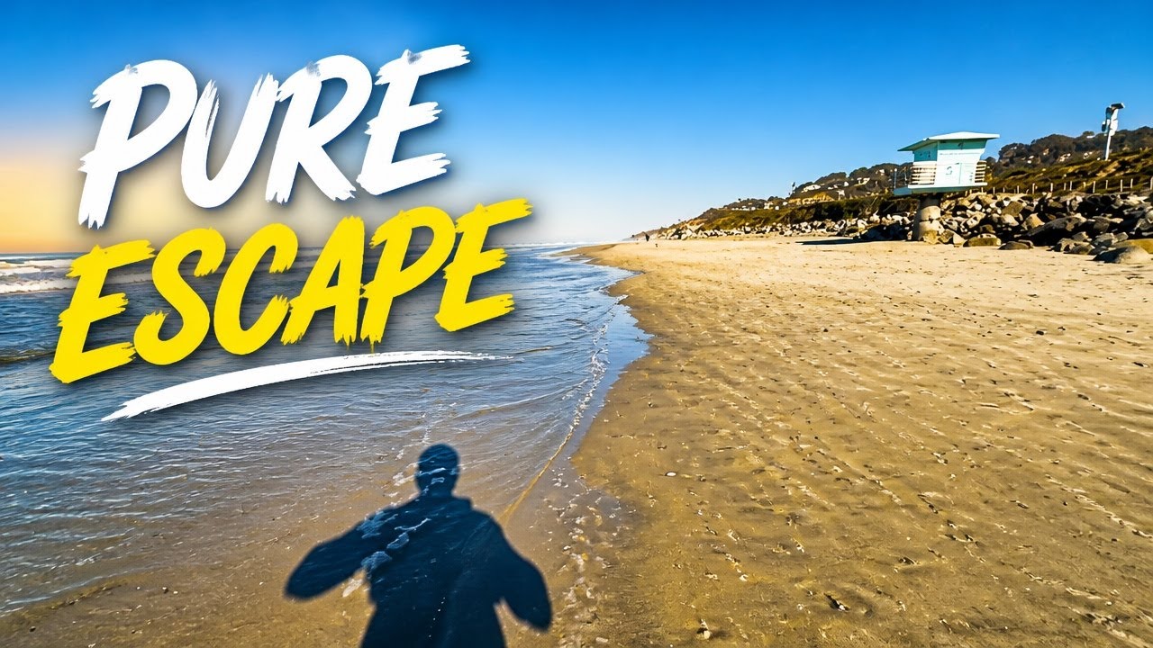 Torrey Pines Beach Walk  | 4K Nature Escape