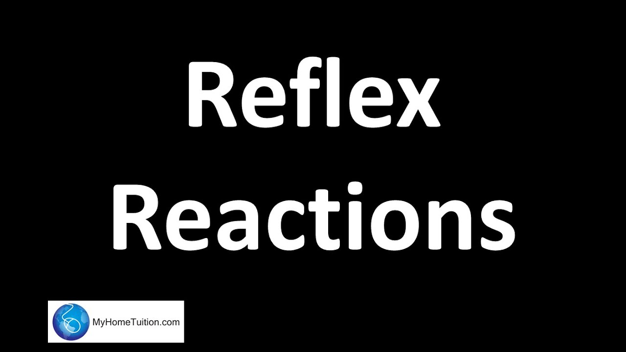 Reflex Reactions | Body Coordination | Science