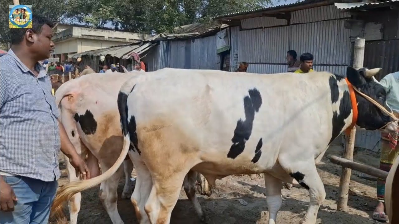 @ মঙ্গলবার ১৭ ফেব্রু