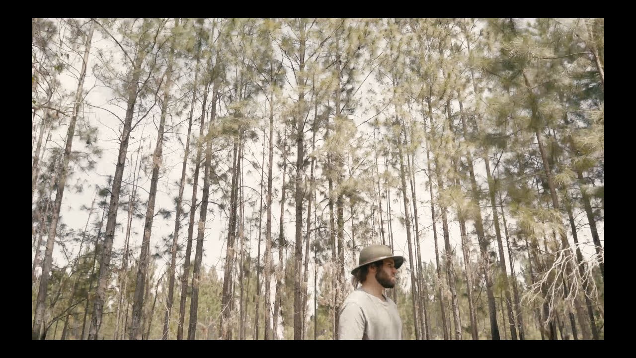 Jesse Taylor - Mountains (Official Music Video)