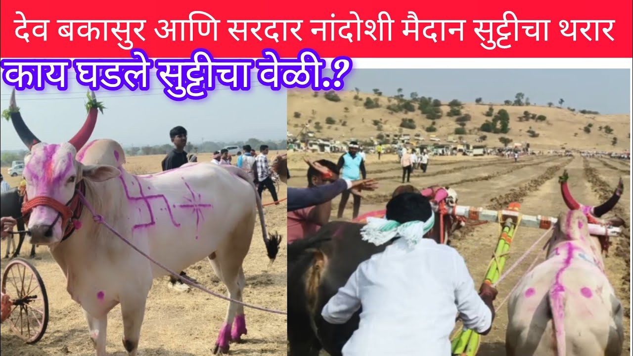 देव बकासुर आणि सरदार नांदोशी मैदान सुट्टीचा थरार 