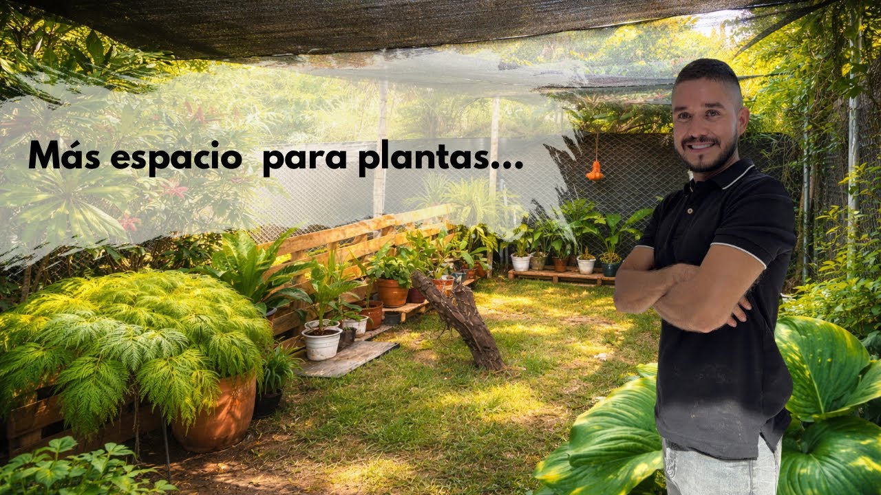 CONSTRUYENDO un NUEVO JARD&Iacute;N para mis PLANTAS DE INTERIOR 
