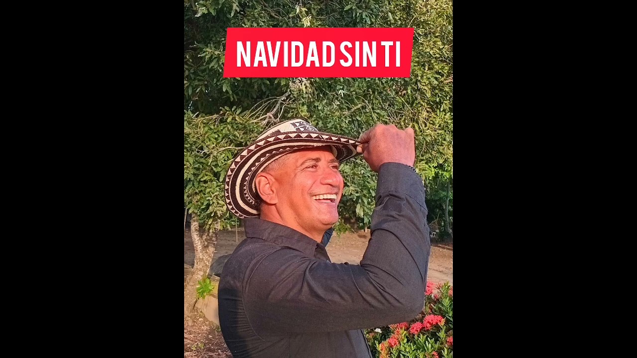 NAVIDAD SIN TI | DAVID VARGAS