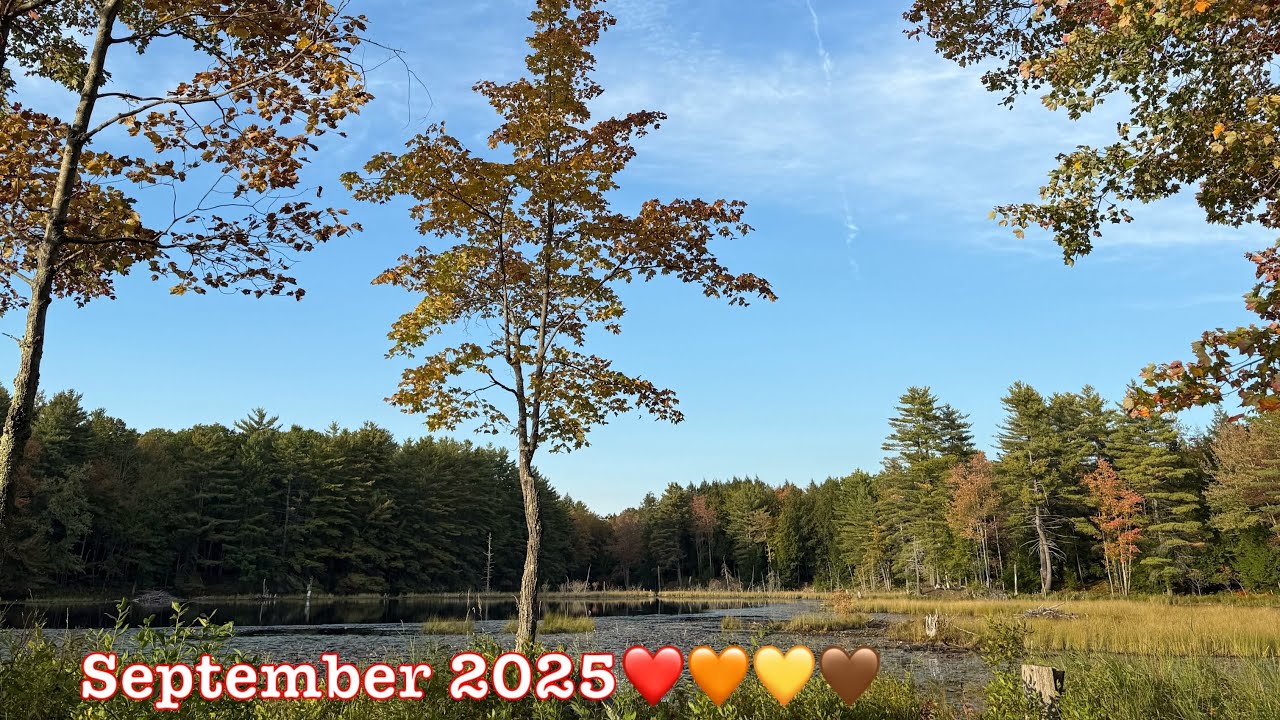 Leaves are turning 🍁 🍂
