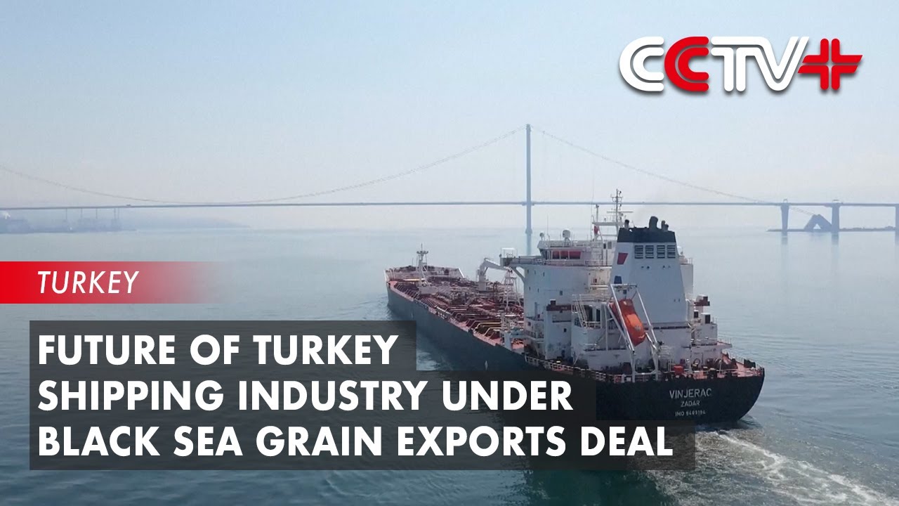Future of Turkey Shipping Industry under Black Sea Grain Exports Deal