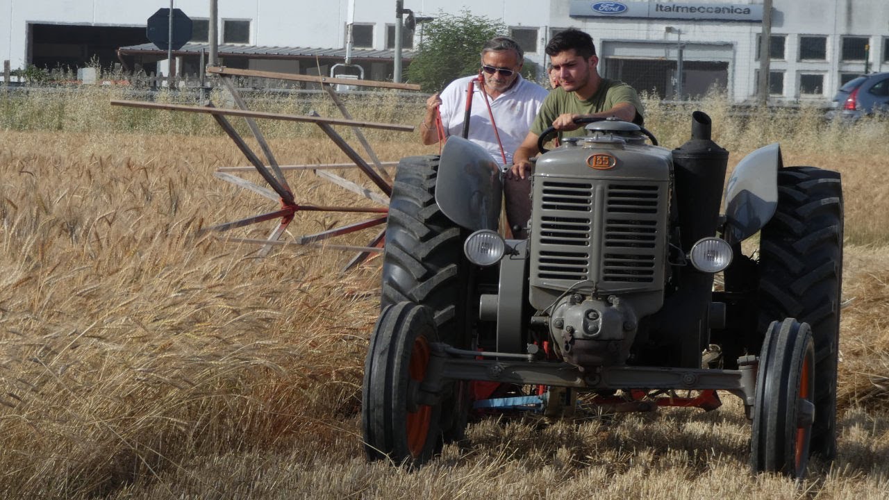 Mietitura grano con Landini L35 e Laverda ML 5 BR