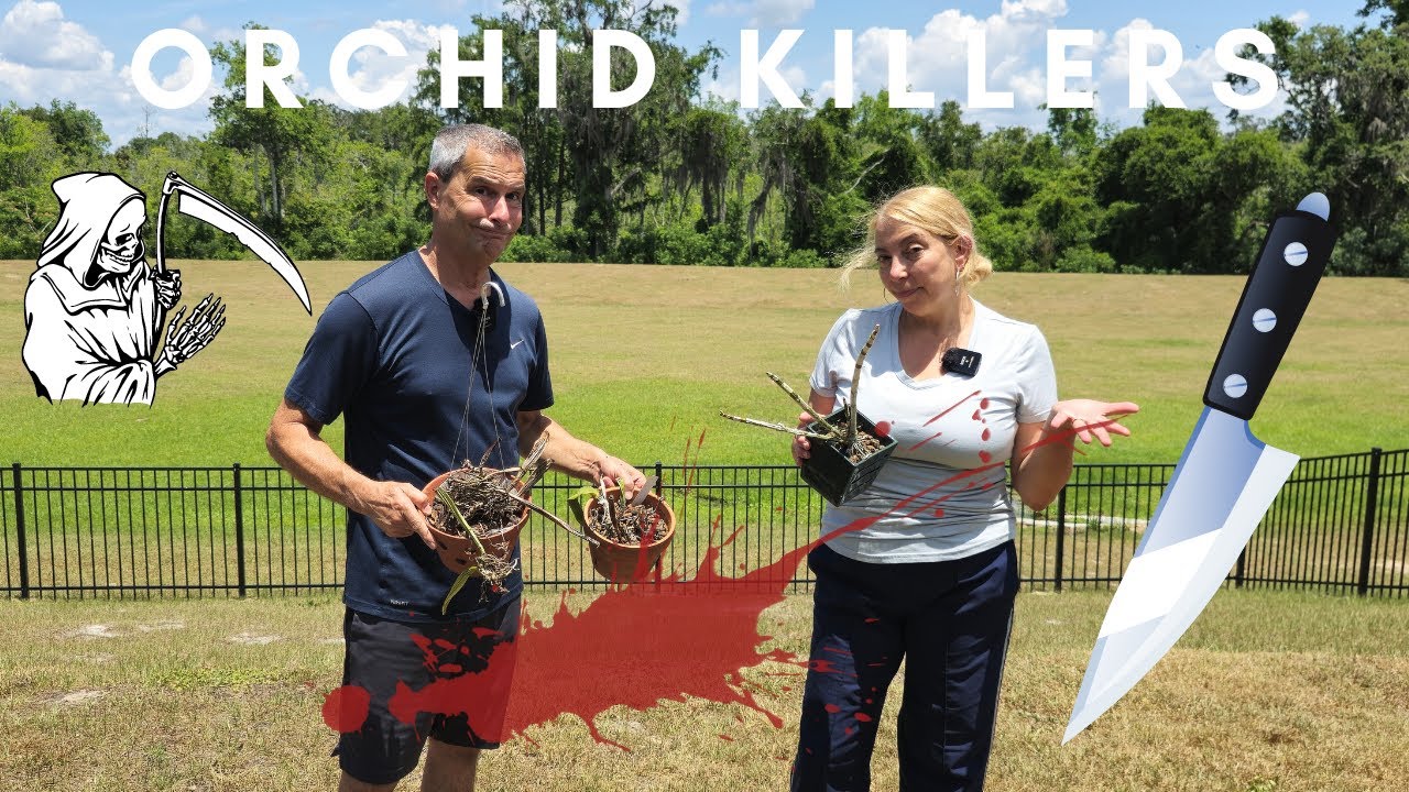 Orchid Killers, we all are. Orchids are resilient.