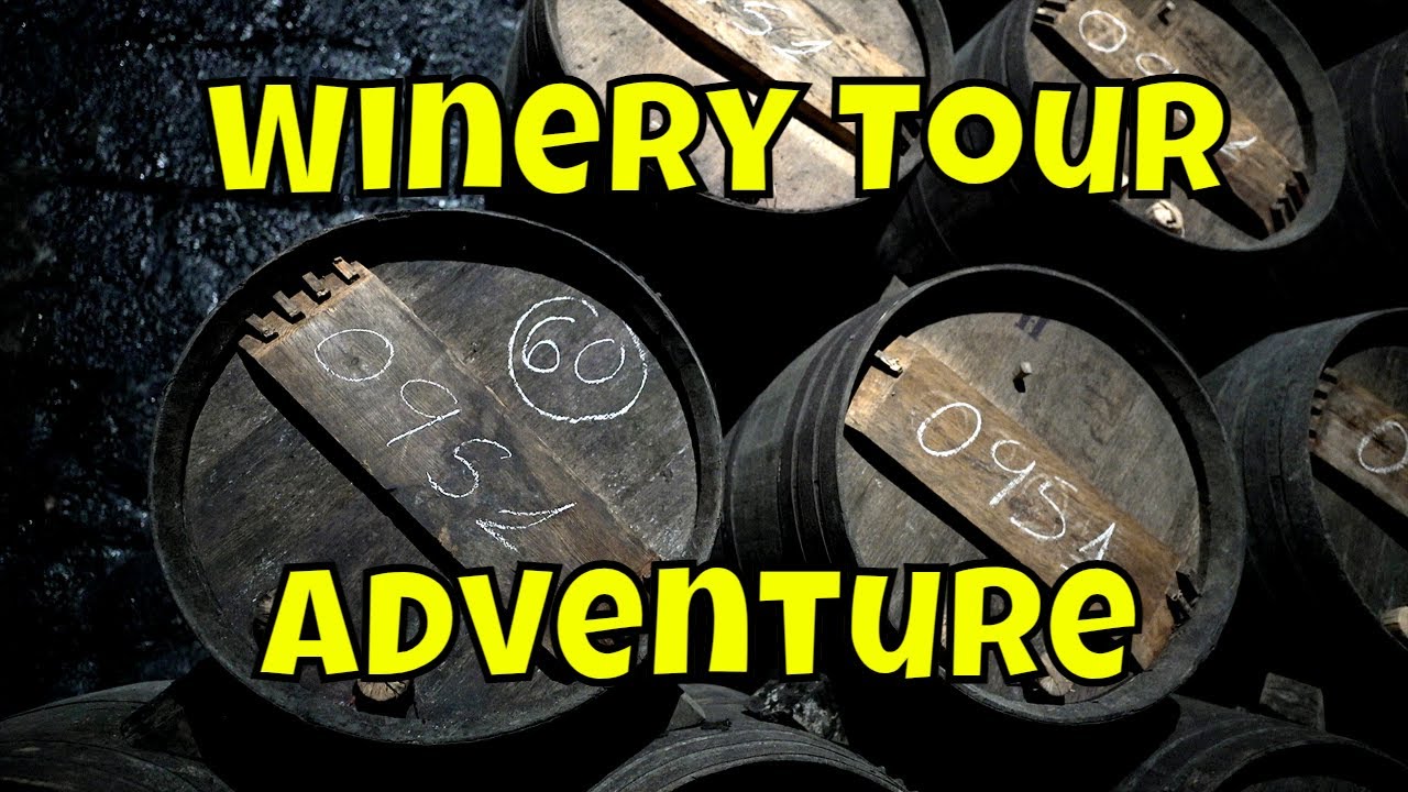 Discovering Top Haro Wineries in Rioja
