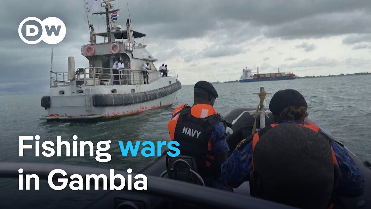 Conflict over fishing turns violent off Gambia's coast | DW News