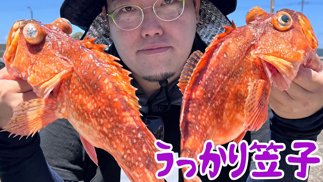 漁師はガッカリ学者はウッカリ、でも野食ハンターはニッコリの魚