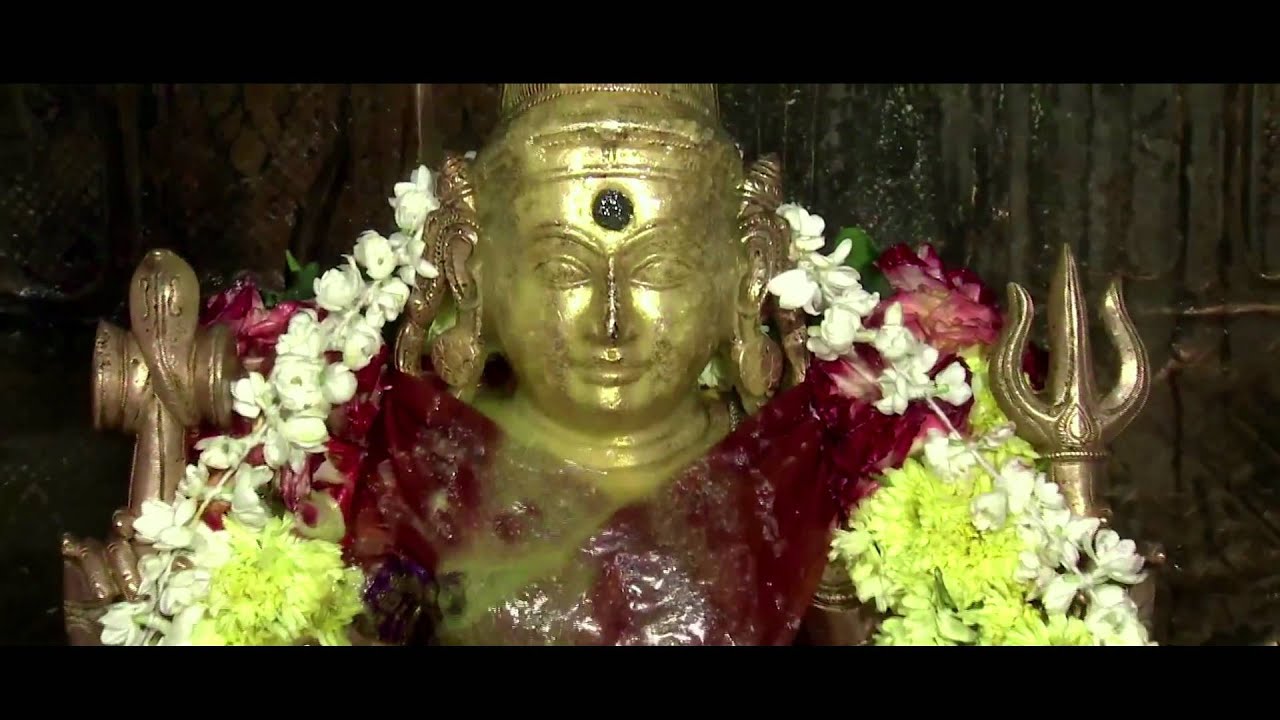 Triplicane Chinna Malayanoor Sri Paladai Angalamman Abhishekam