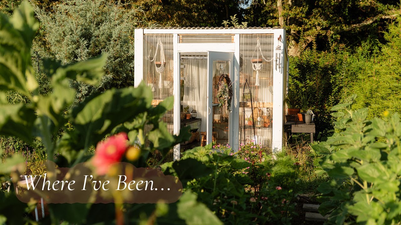 My Peaceful Return to Dearest Garden: Update, Clean-Up, & the Cut Flower Garden